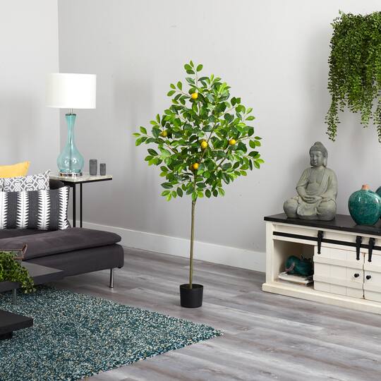 5ft. Potted Lemon Tree